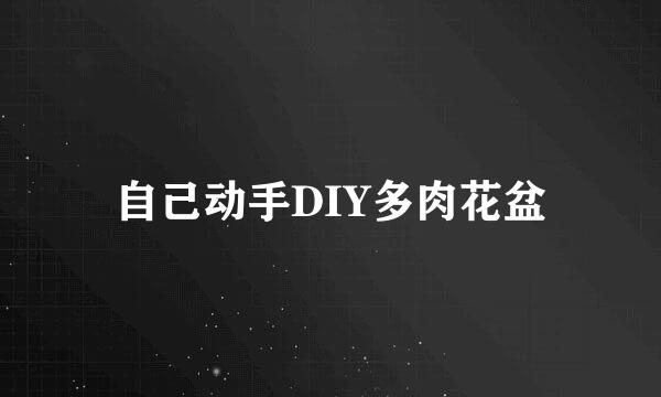 自己动手DIY多肉花盆