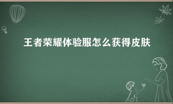 王者荣耀体验服怎么获得皮肤