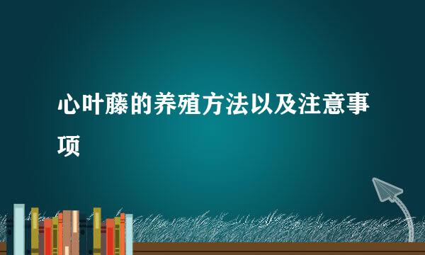 心叶藤的养殖方法以及注意事项