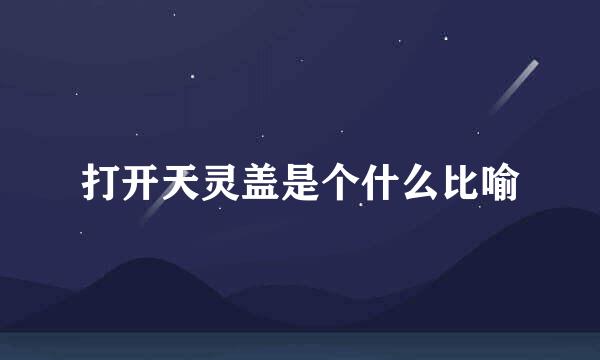 打开天灵盖是个什么比喻