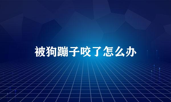 被狗蹦子咬了怎么办