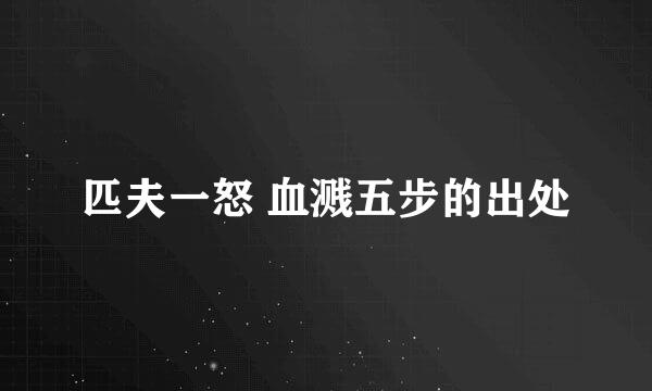 匹夫一怒 血溅五步的出处