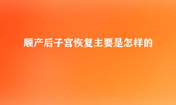 顺产后子宫恢复主要是怎样的