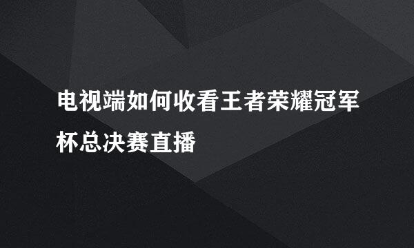 电视端如何收看王者荣耀冠军杯总决赛直播