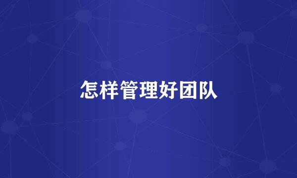 怎样管理好团队
