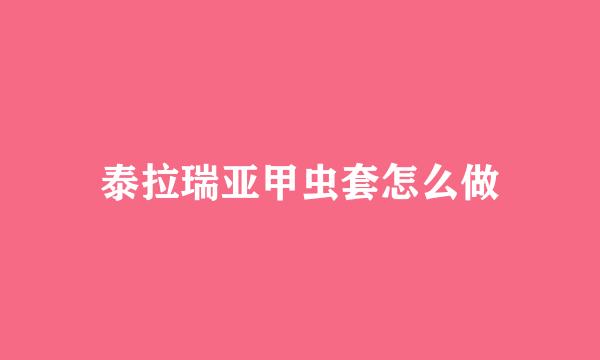 泰拉瑞亚甲虫套怎么做