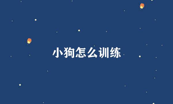 小狗怎么训练