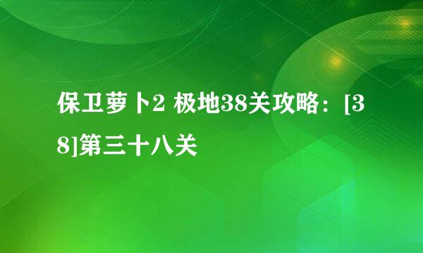保卫萝卜2 极地38关攻略：[38]第三十八关