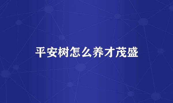 平安树怎么养才茂盛