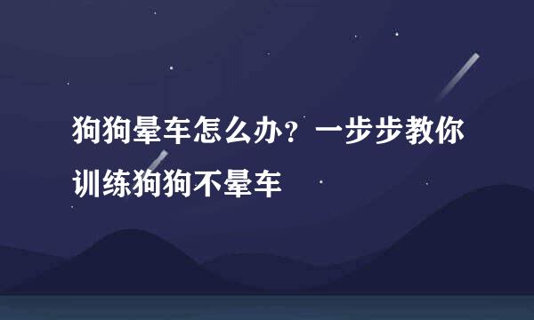 狗狗晕车怎么办？一步步教你训练狗狗不晕车