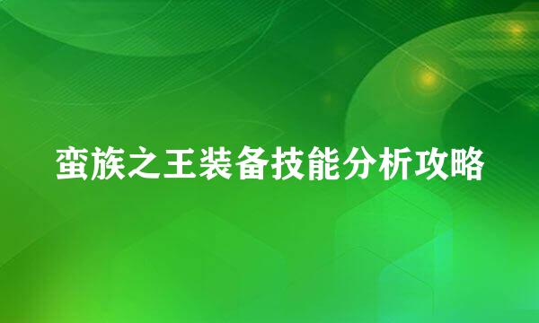 蛮族之王装备技能分析攻略