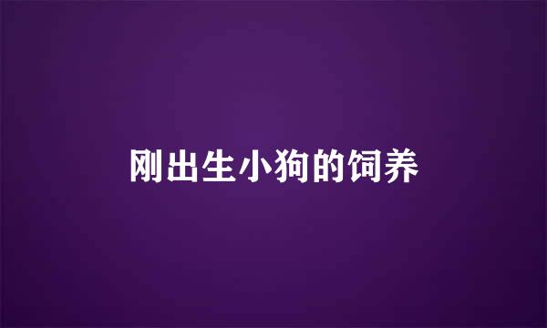 刚出生小狗的饲养