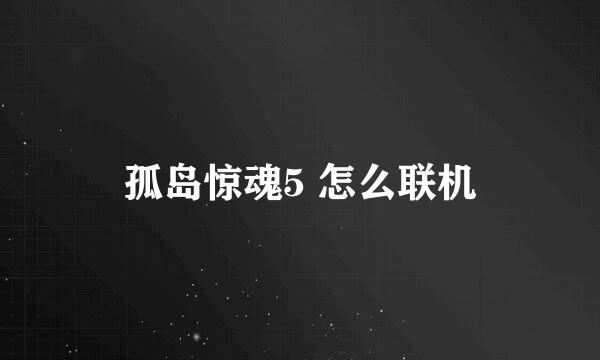 孤岛惊魂5 怎么联机