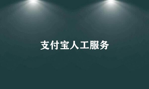 支付宝人工服务