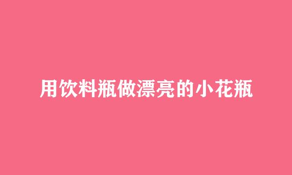 用饮料瓶做漂亮的小花瓶