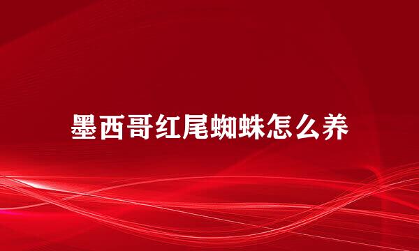 墨西哥红尾蜘蛛怎么养
