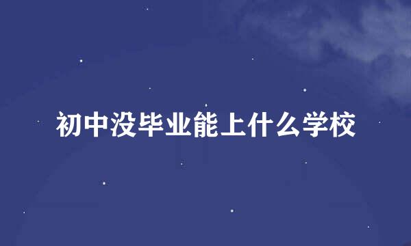 初中没毕业能上什么学校