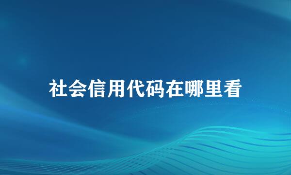 社会信用代码在哪里看