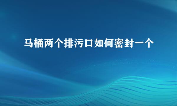马桶两个排污口如何密封一个