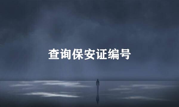 查询保安证编号