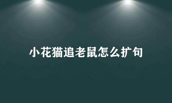 小花猫追老鼠怎么扩句