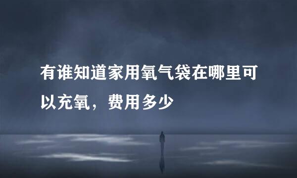 有谁知道家用氧气袋在哪里可以充氧，费用多少