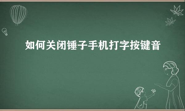 如何关闭锤子手机打字按键音