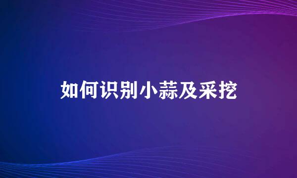 如何识别小蒜及采挖