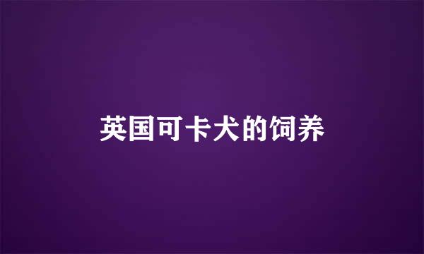 英国可卡犬的饲养