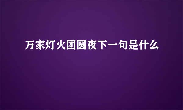 万家灯火团圆夜下一句是什么