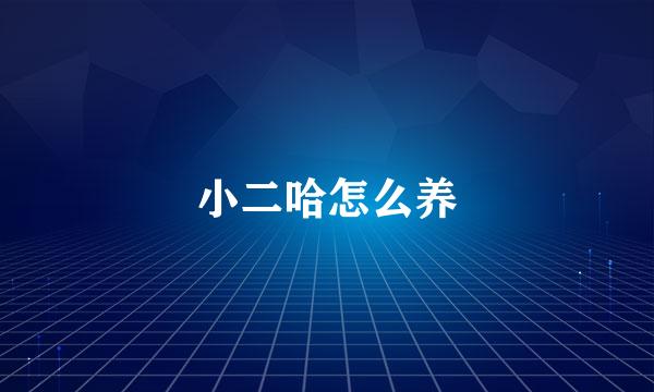 小二哈怎么养
