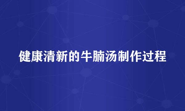 健康清新的牛腩汤制作过程