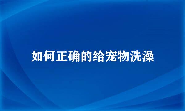 如何正确的给宠物洗澡