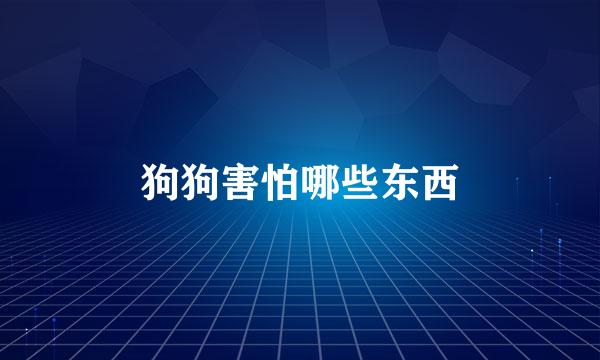 狗狗害怕哪些东西
