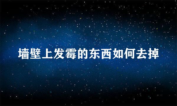 墙壁上发霉的东西如何去掉