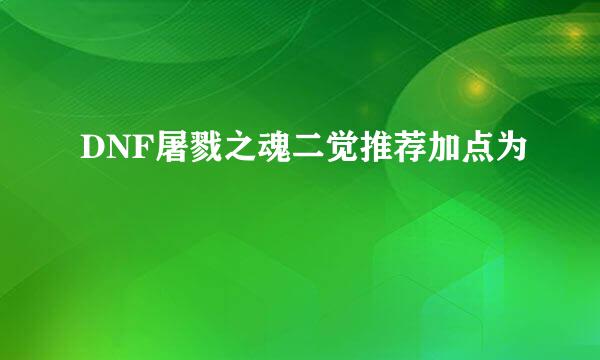 DNF屠戮之魂二觉推荐加点为