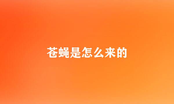 苍蝇是怎么来的