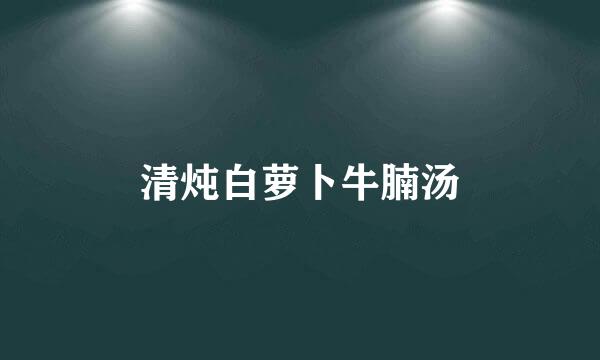 清炖白萝卜牛腩汤