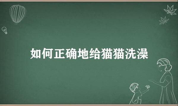如何正确地给猫猫洗澡