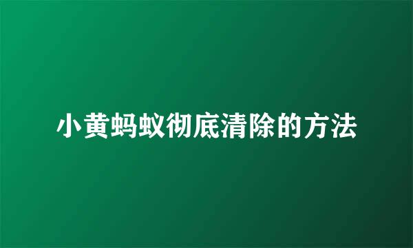 小黄蚂蚁彻底清除的方法