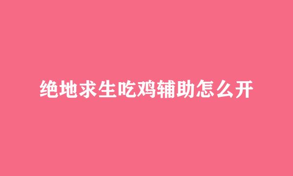 绝地求生吃鸡辅助怎么开