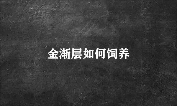 金渐层如何饲养