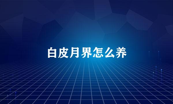 白皮月界怎么养