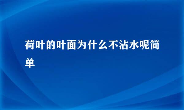 荷叶的叶面为什么不沾水呢简单