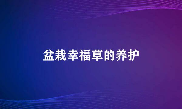 盆栽幸福草的养护
