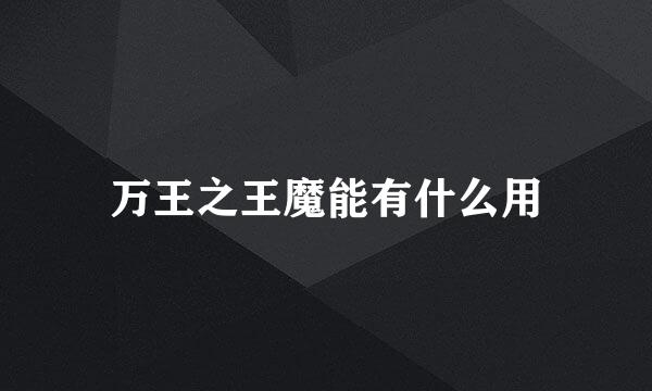 万王之王魔能有什么用