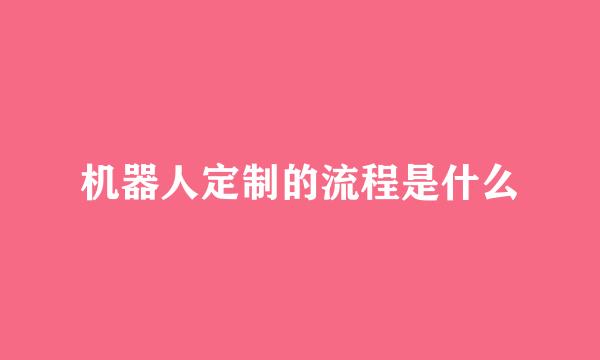 机器人定制的流程是什么