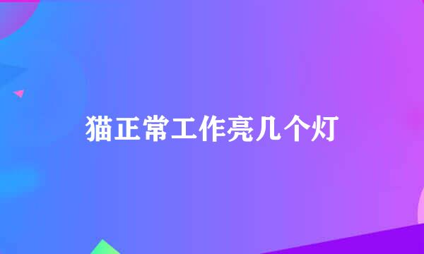 猫正常工作亮几个灯