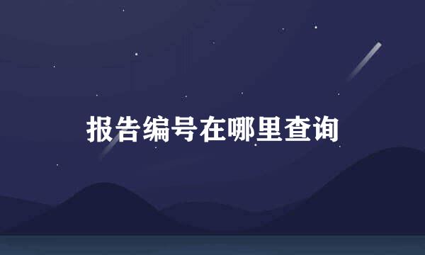 报告编号在哪里查询