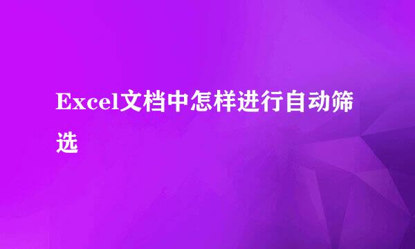 Excel文档中怎样进行自动筛选